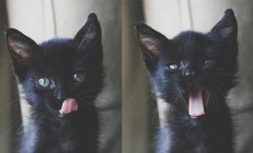 九游娱乐网页-金玟哉头槌破僵局，莱比锡红牛硬仗力克塞内加尔闪耀友谊赛