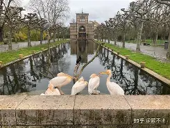 斯图加特实现客场逆转，表现尽善尽美的简单介绍