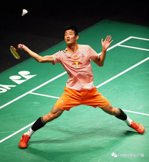 关于丹麦羽毛球队翻盘法国羽毛球队，谌龙送出助攻的信息