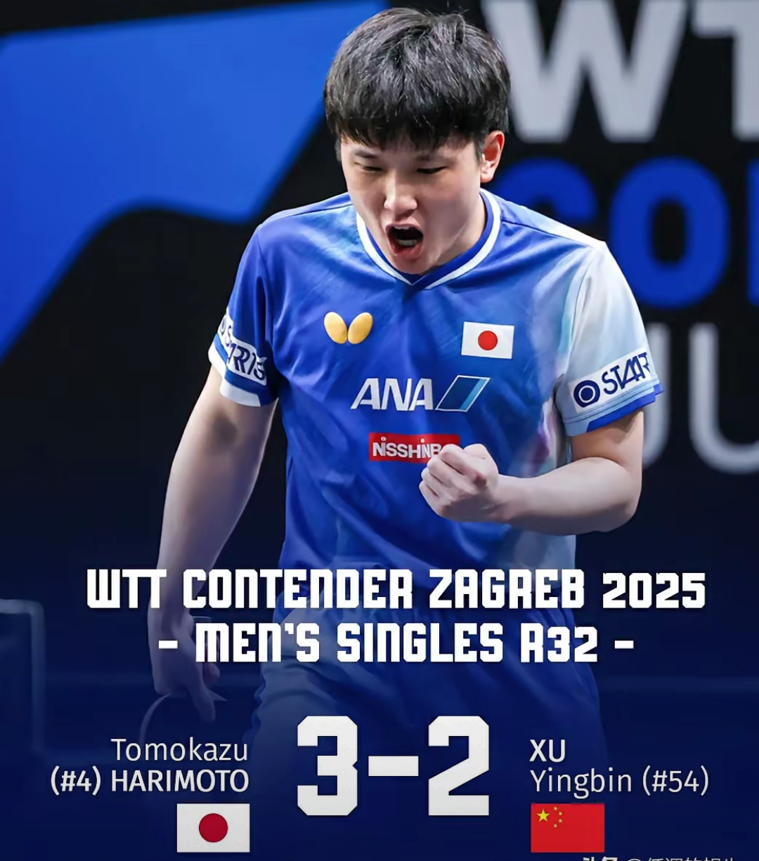 韩国队横扫奥地利队，张本智和高光表现