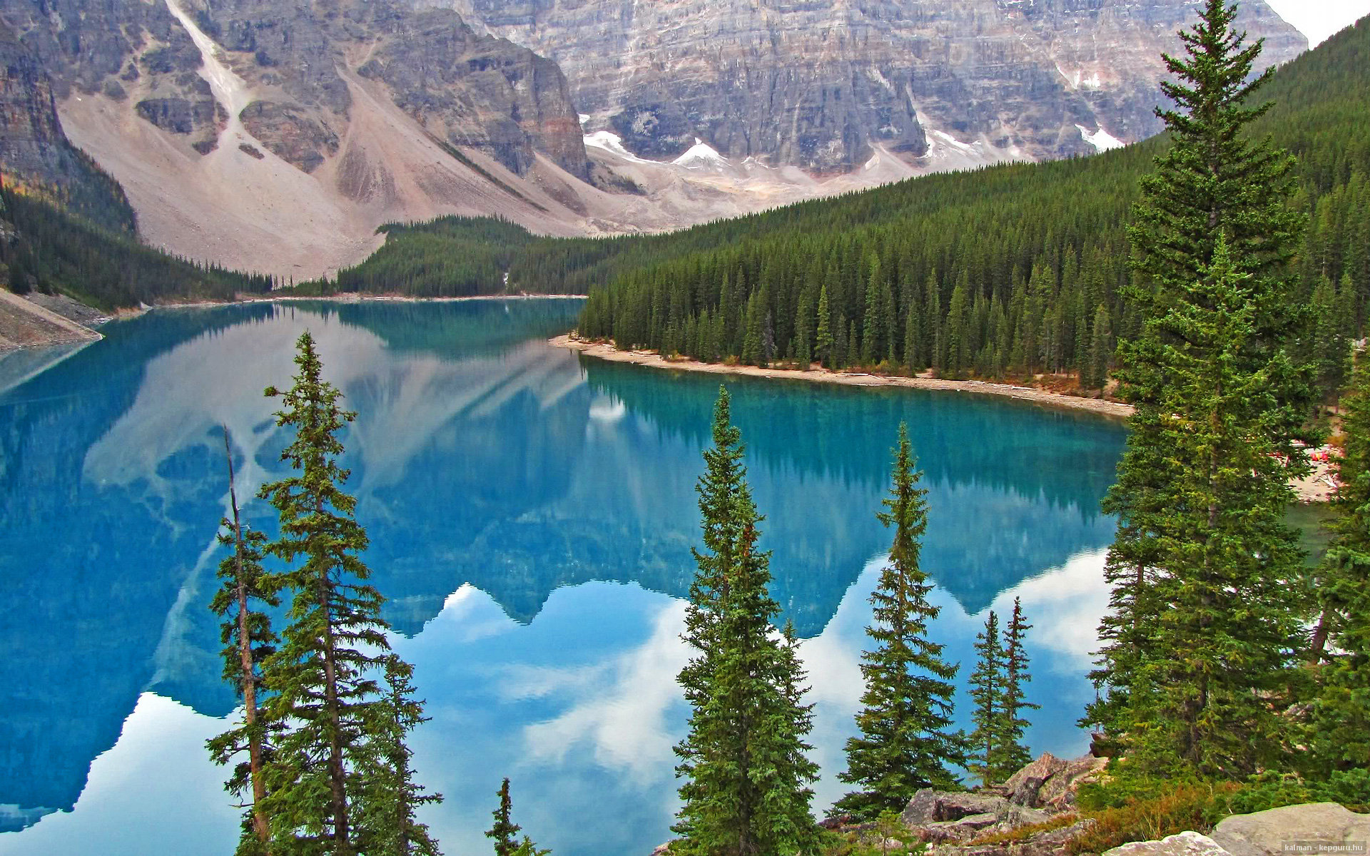 硬仗基因，从申城雷霆到明尼苏达狼嚎