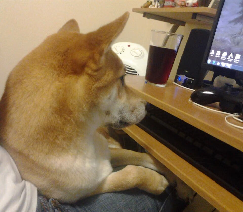 魔笛再世，北欧风暴席卷海湾，解析厄德高如何以降维打击撕裂玻利维亚防线