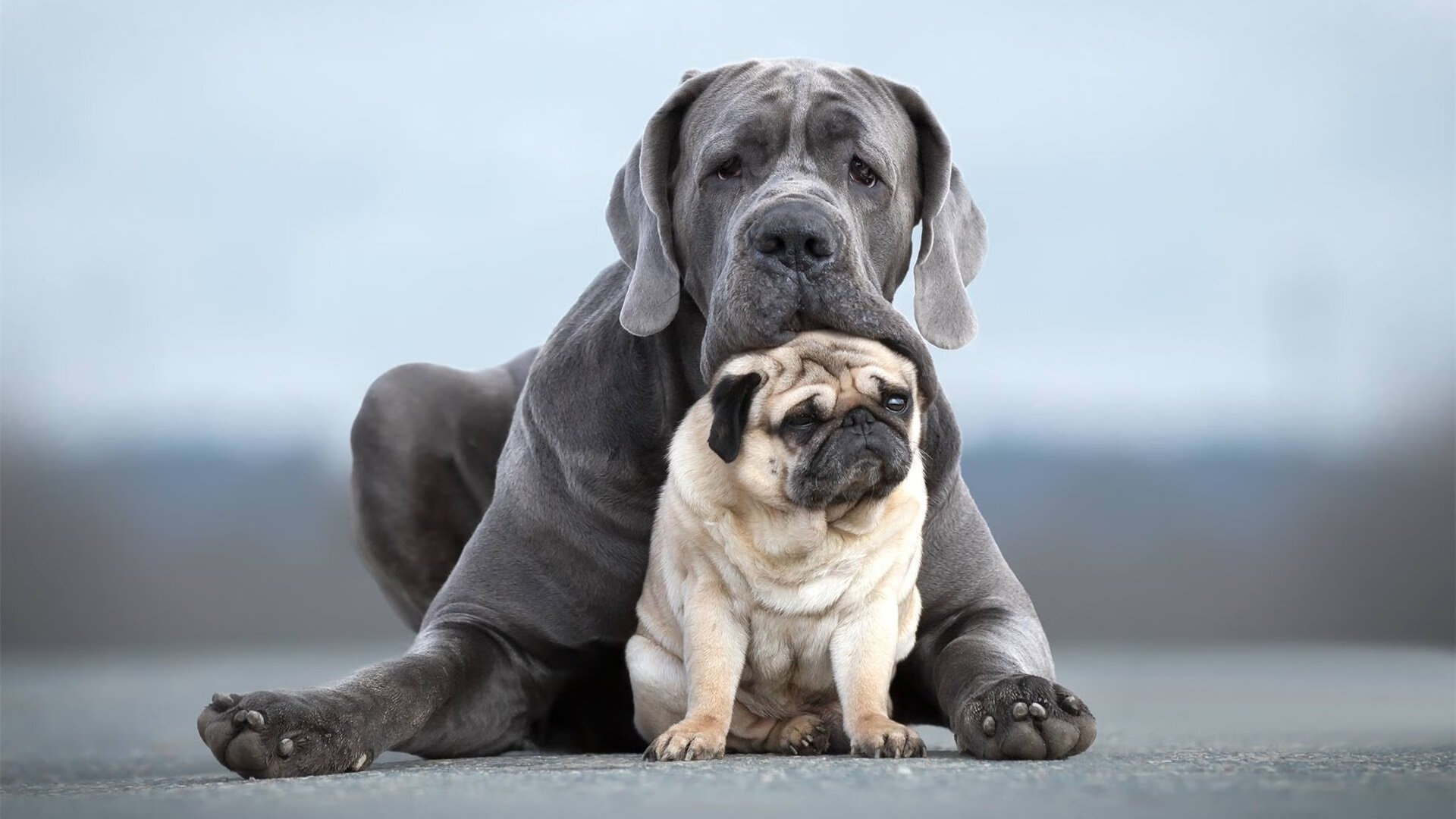 布鲁诺的无声王权与药厂的集体咆哮，当个人英雄主义遭遇火力矩阵