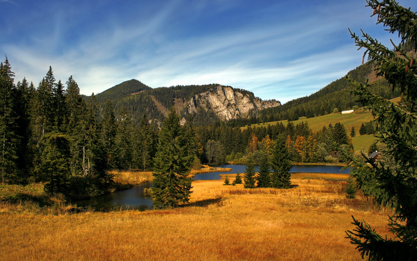 双线并行的统治力，从鹈鹕团队狂胜到莫兰特的单骑绝尘