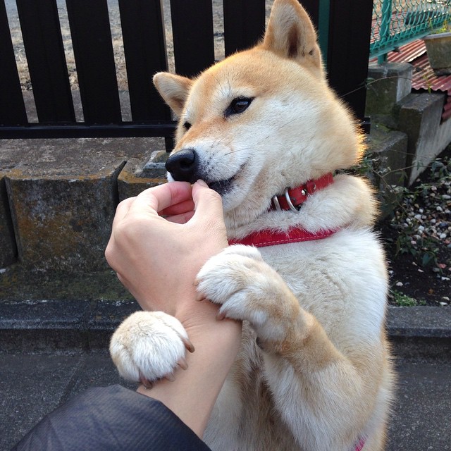 终极接管！西亚卡姆西决生死战导演步行者硬仗胜骑士