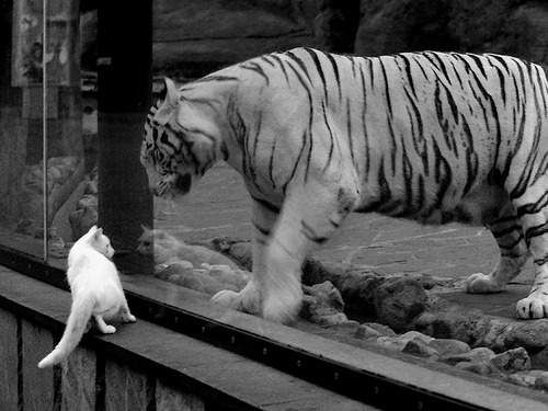 暗流汹涌的英超争冠夜，谁将一手掌控比赛走势？